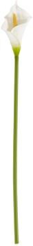 Saro Lifestyle "Calla Lily Stem Floral Accent (Set of 12) - White - 21"""
