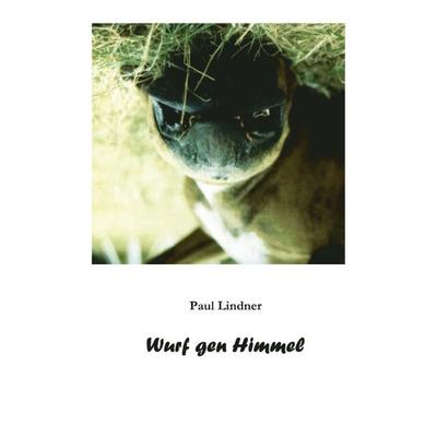 Wurf gen Himmel, Taschenbuch von Paul Lindner, BoD – Books on Demand, 978-3-8334-3258-3