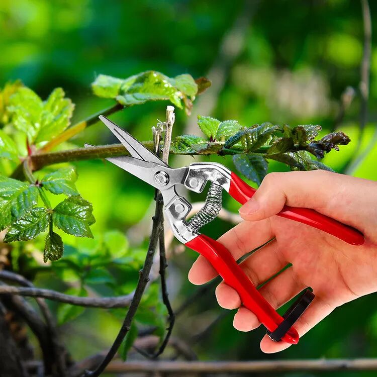 INF Gartenschere model 1