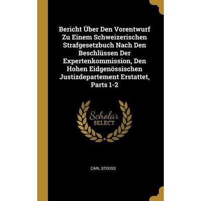Bericht Über Den Vorentwurf Zu Einem Schweizerischen Strafgesetzbuch Nach Den Beschlüssen Der Expertenkommission, Den Hohen Eidgenössischen