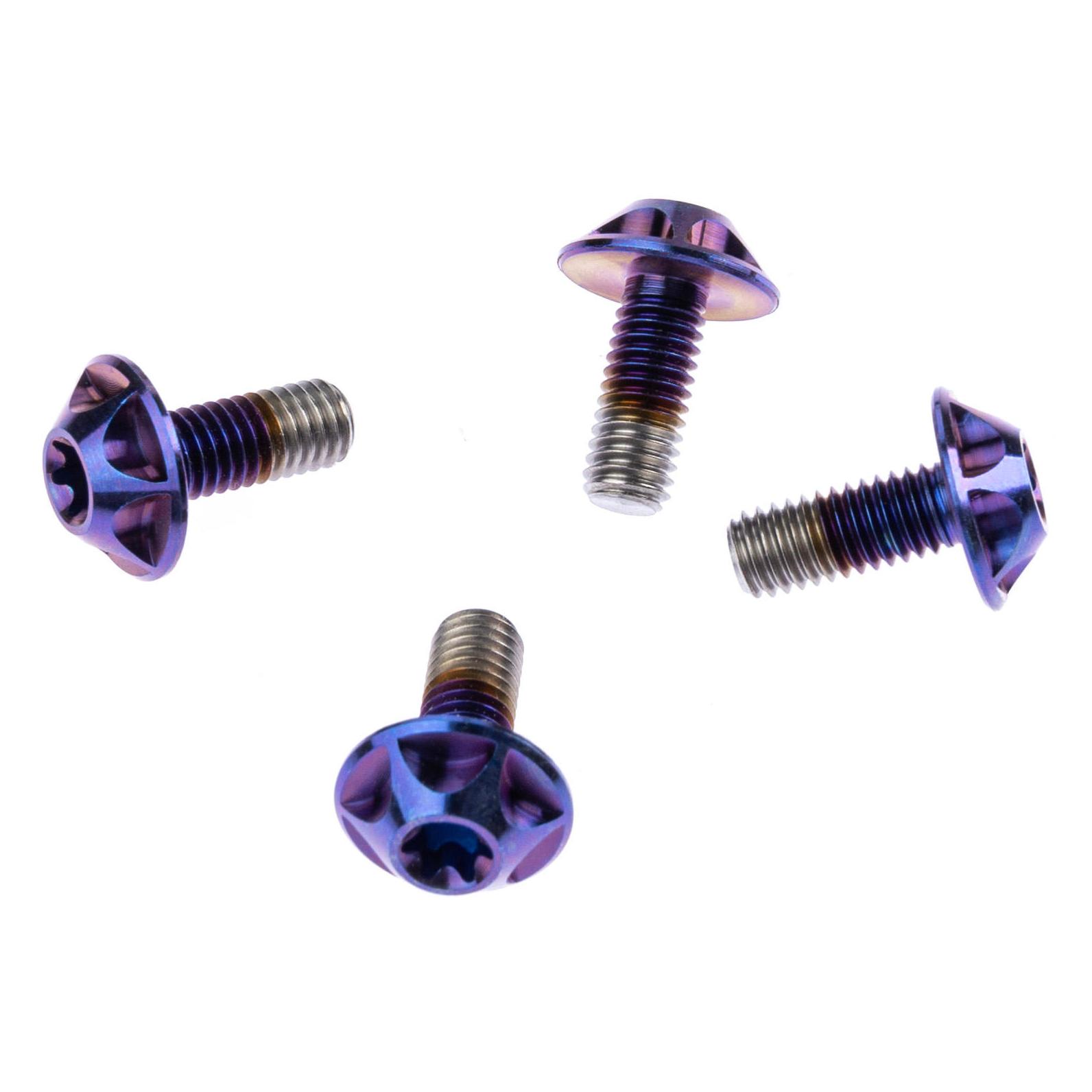 Silca Titan Flaschenhalterschrauben Torx (AM-CC-970-ASY-0204)