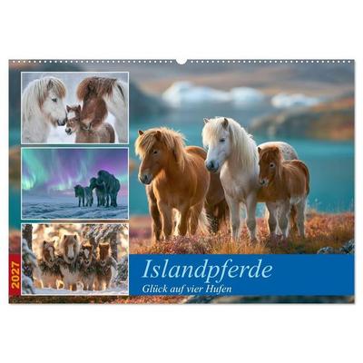 Islandpferde (Wandkalender 2027 DIN A2 quer), CALVENDO Monatskalender