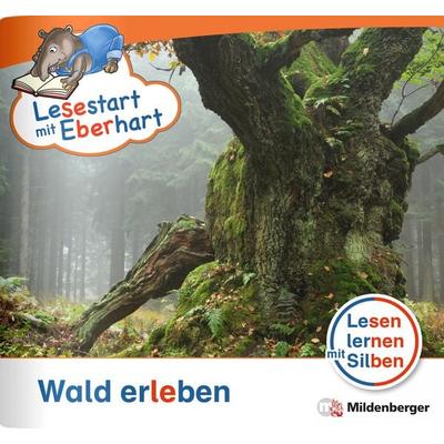 Lesestart mit Eberhart - Wald erleben, Taschenbuch von Stefanie Drecktrah,Nicole Brandau, Mildenberger Verlag GmbH, 978-3-619-04430-6