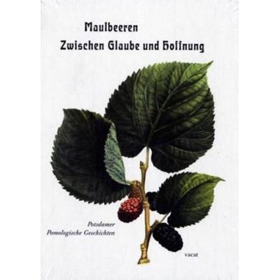 Maulbeeren - Zwischen Glaube und Hoffnung, Gebundene Ausgabe von Marina Heilmeyer,Michael Seiler, Vacat, 978-3-930752-45-4