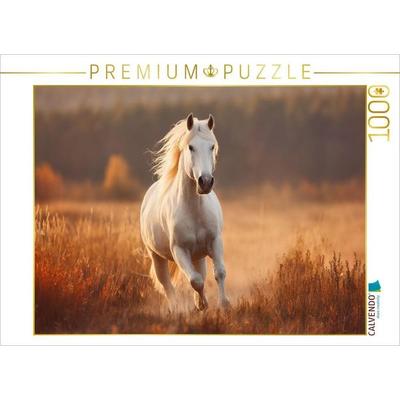 CALVENDO Puzzle Weißes Pferd, Freiheit in Bewegung | 1000 Teile Lege-Größe 64x48cm Foto-Puzzle für glückliche Stunden, Sonstige von , Calvendo Puzzle