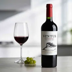 Bodega Del Fin Del Mundo 2024 Del Fin Del Mundo Ventus Red Blend 2024 Cabernet Sauvignon,Malbec,Merlot Argentinien