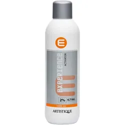 1L Artistique Experience Activator