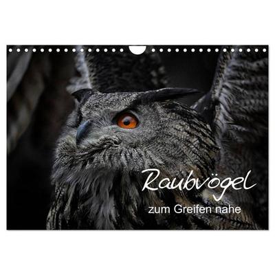 Raubvögel zum Greifen nahe (Wandkalender 2027 DIN A4 quer), CALVENDO Monatskalender
