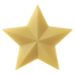 Speick Pflanzenöl-Seife Stern
