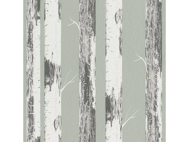 Rasch Tapete 285413 - Grüne Papiertapete mit Birkenstämmen, Birkenwald - 10,05m x 0,53m