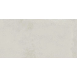Century Reaction Reflex 60x120 cm Bodenfliese / Wandfliese Matt Eben Naturale