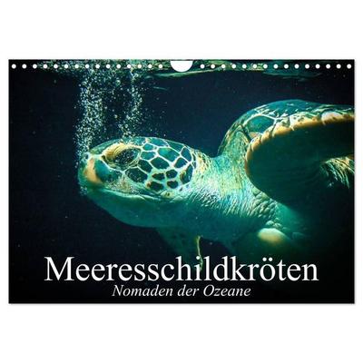 Meeresschildkröten. Nomaden der Ozeane (Wandkalender 2027 DIN A4 quer), CALVENDO Monatskalender