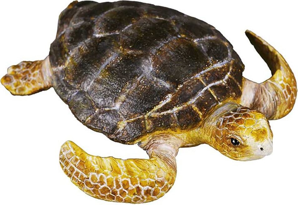 Mac Toys Collecta Schildpad