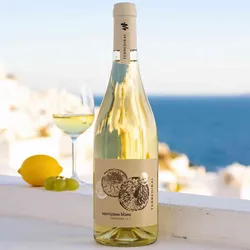 Angelo Rocca & Figli  2024 Terre di Rai Sauvignon 2024 Sauvignon Blanc Italien