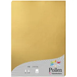Clairefontaine, Kopierpapier, Papier Packung (A4, 25 Blätter, 210 g/m2)