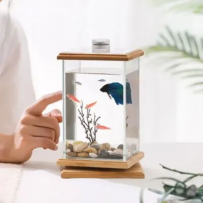 Rare Purchases Mini Rotating Aquarium LED Cylindrical Fish Tank, Desktop Glass Aquarium Decoration For Office And Home led Square Cylinder