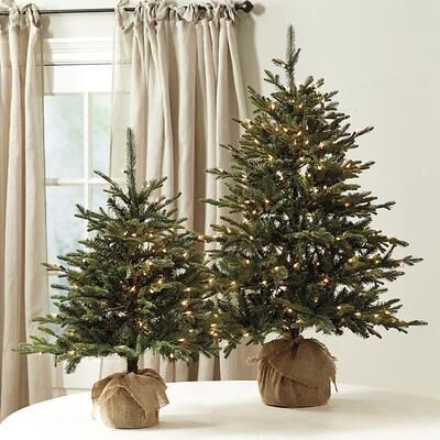 Suzanne Kasler Fraser Fir Tabletop Tree - 3' - Ballard Designs