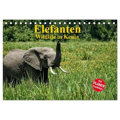 Elefanten. Wildlife in Kenia (Tischkalender 2027 DIN A5 quer), CALVENDO Monatskalender