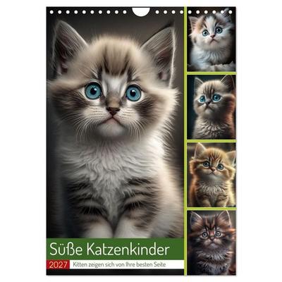 Süße Katzenkinder (Wandkalender 2027 DIN A4 hoch), CALVENDO Monatskalender