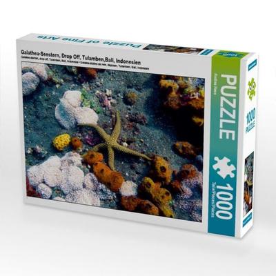 CALVENDO Puzzle Galathea-Seestern, Drop Off, Tulamben,Bali, Indonesien | 1000 Teile Lege-Größe 64x48cm Foto-Puzzle für glückliche Stunden