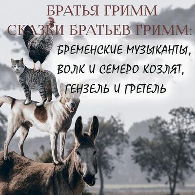 Grimms' Fairy Tales - Brothers Grimm, Audio, 4099995628692