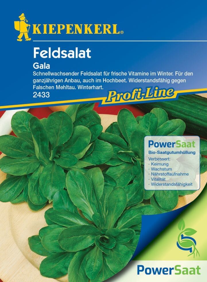 Pflanzen Kiepenkerl Feldsalat Gala PowerSaat