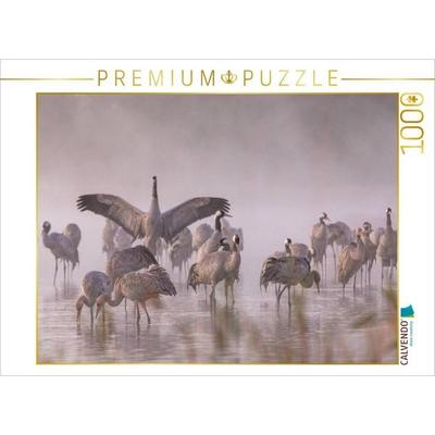 CALVENDO Puzzle Ein Motiv aus dem Kalender Kraniche am Schlafplatz - im Naturparadies der Mecklenburgischen Seenplatte | 1000 Teile Lege-Größe 64x48cm