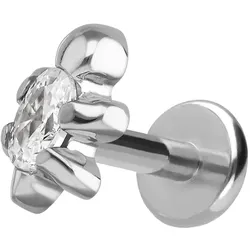 Titan Labret mit Push Fit SCHILDKRÖTE