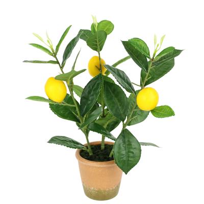 Kunstpflanze I.GE.A. "Künstlicher Mini-Zitronenbaum", gelb, B:15cm H:31cm L:15cm, Polyester, Kunstpflanzen, Kunstpflanze, Lebensechter Kunstbaum Baum Dekoration Obstbaum Pflanze