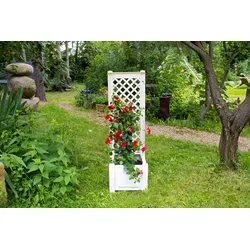KHW Pflanzkasten klein mit Spalier 43 cm, weiß