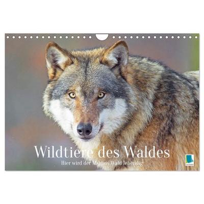 Wildtiere des Waldes: Hier wird der Mythos Wald lebendig (Wandkalender 2027 DIN A4 quer), CALVENDO Monatskalender