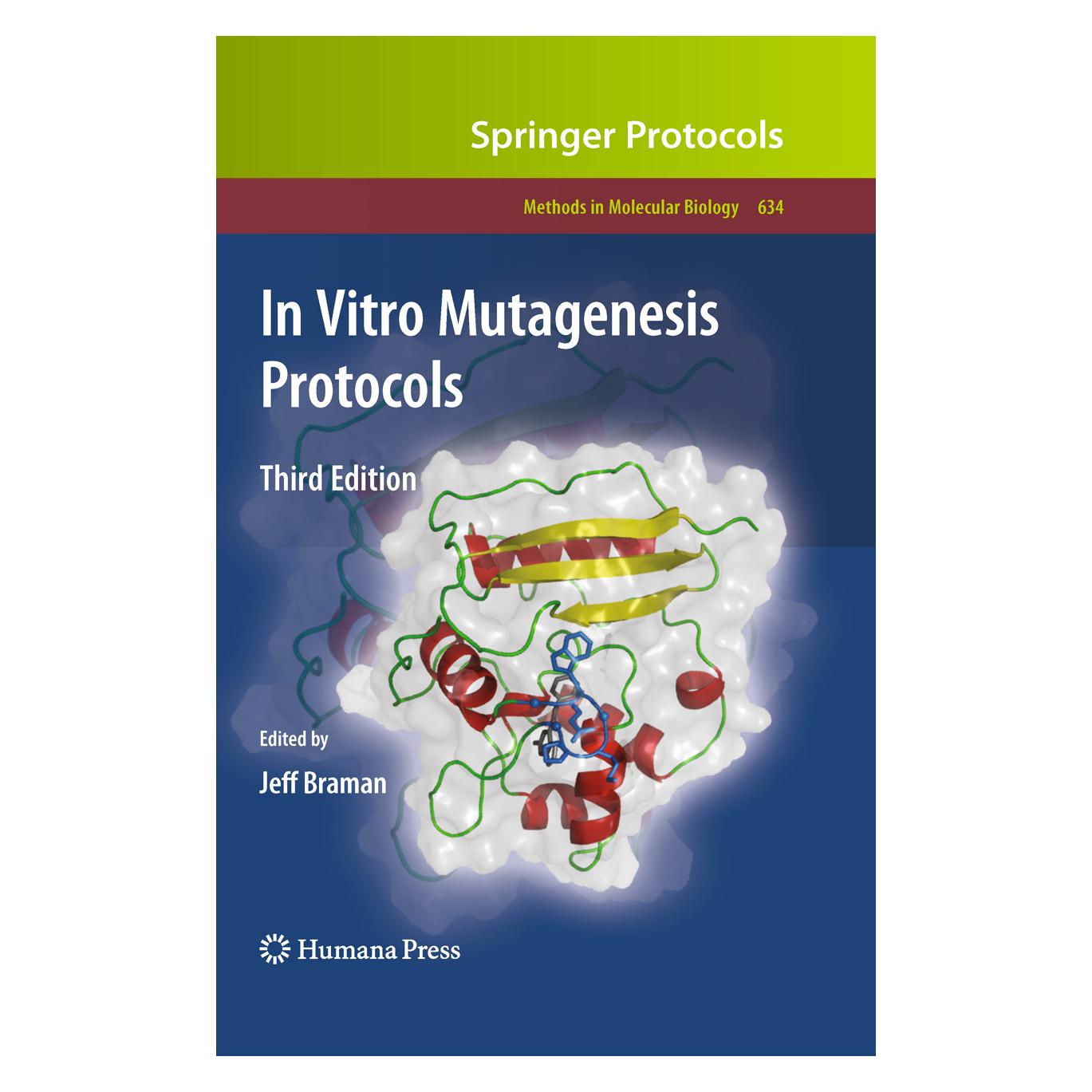 Springer In Vitro Mutagenesis Protocols (Englisch, Softcover, Jeff Braman) (55964818)