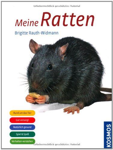 Brigitte Rauth-Widmann - Meine Ratten: Rund um das Tier. Gut versorgt. Natürlich gesund. Spiel und Spaß. Verhalten verstehen - Preis vom 01.10.2026 17:08:56 h
