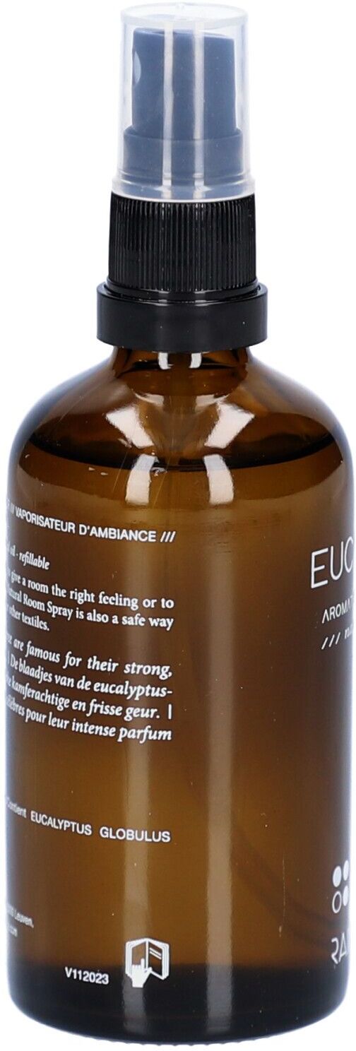 RainPharma Room Spray Eucalyptus 100ml 100 ml Dosierspray