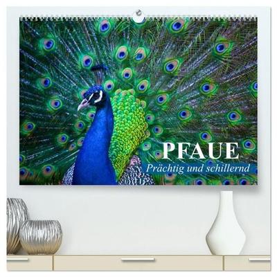 Pfaue. Prächtig und schillernd (hochwertiger Premium Wandkalender 2027 DIN A2 quer), Kunstdruck in Hochglanz