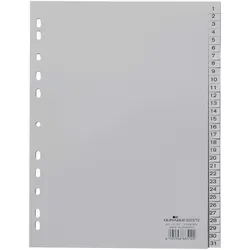 DURABLE Ordnerregister A4 nummeriert - 31-teilig - grau