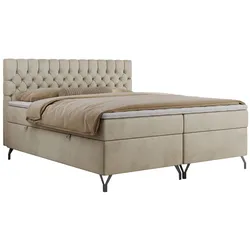 BOXBETT GRIMALDI 140/200 Beige Velvet - H3
