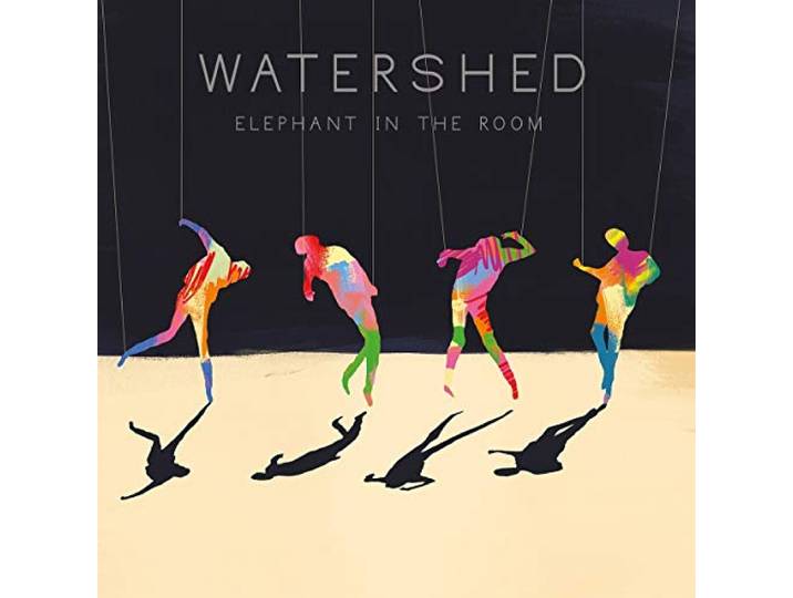 Elephant in the Room