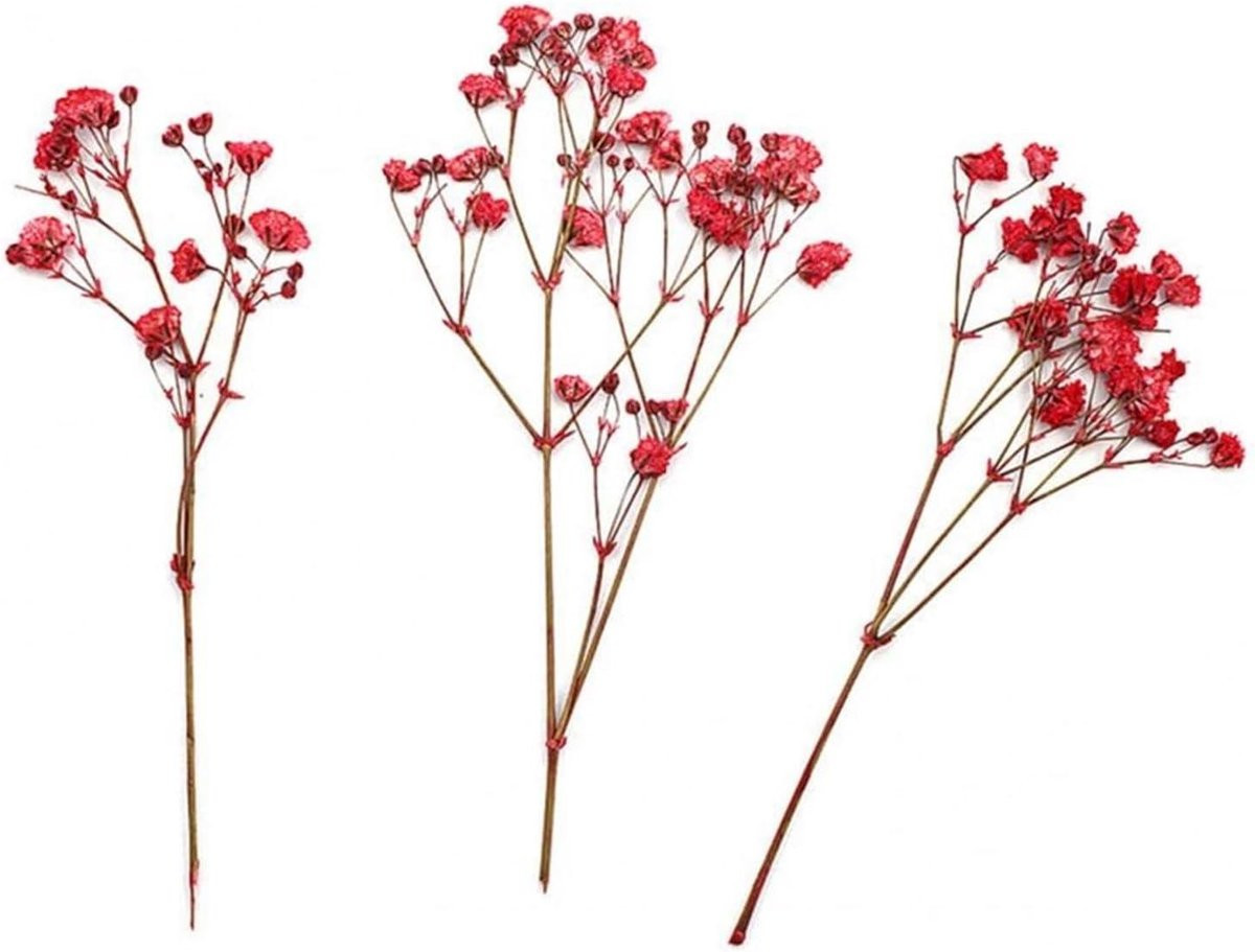 12 stuks Decoratieve rode geperste droogbloemen voor ambachtelijke decoratie