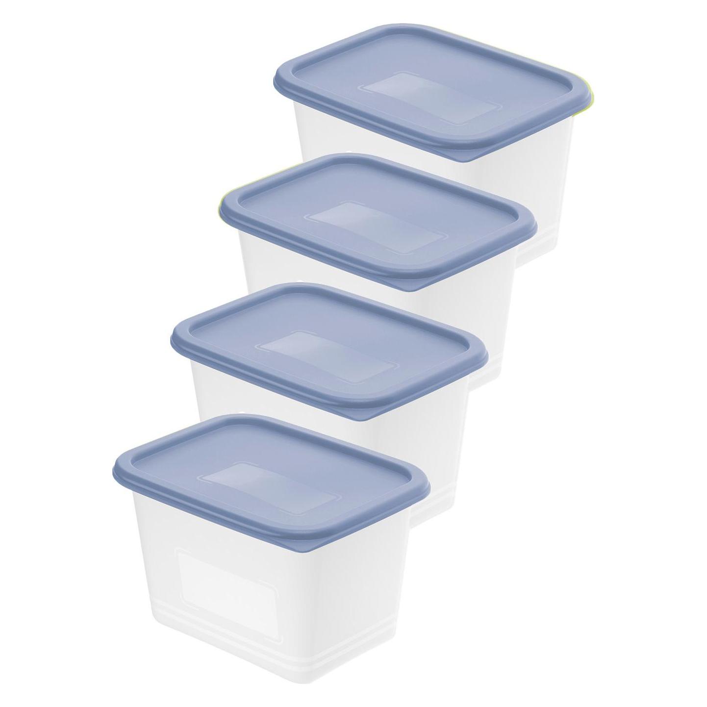 Rotho Set Gefrierdose Domino (1 l) (046226)