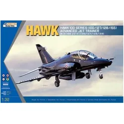Kinetic Hawk 100