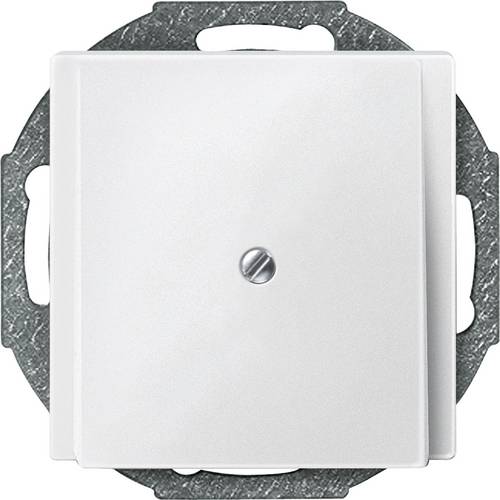 Merten Abdeckung System M Polarweiß 295619 1St.