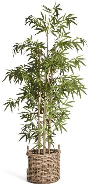 4EverGreen Bambus, 190 Cm
