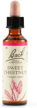 SCHWABE PHARMA ITALIA Srl Sweet Chestnut Bach Originali 20 ml