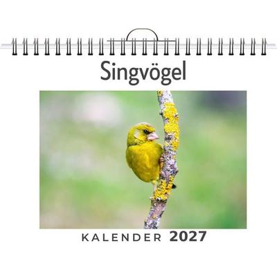 Singvögel