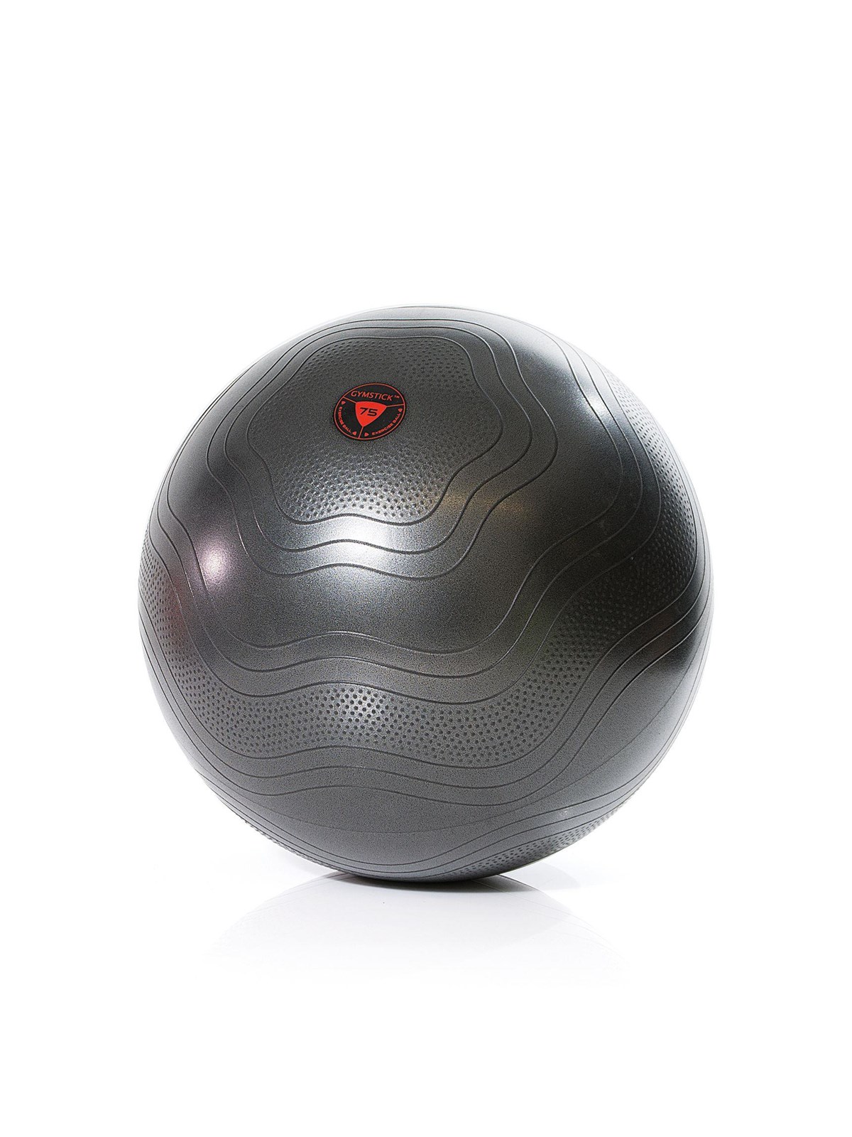 Gymstick Exercise Ball 55cm