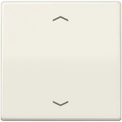 Jung Steuertaste Standard AS 1700 P