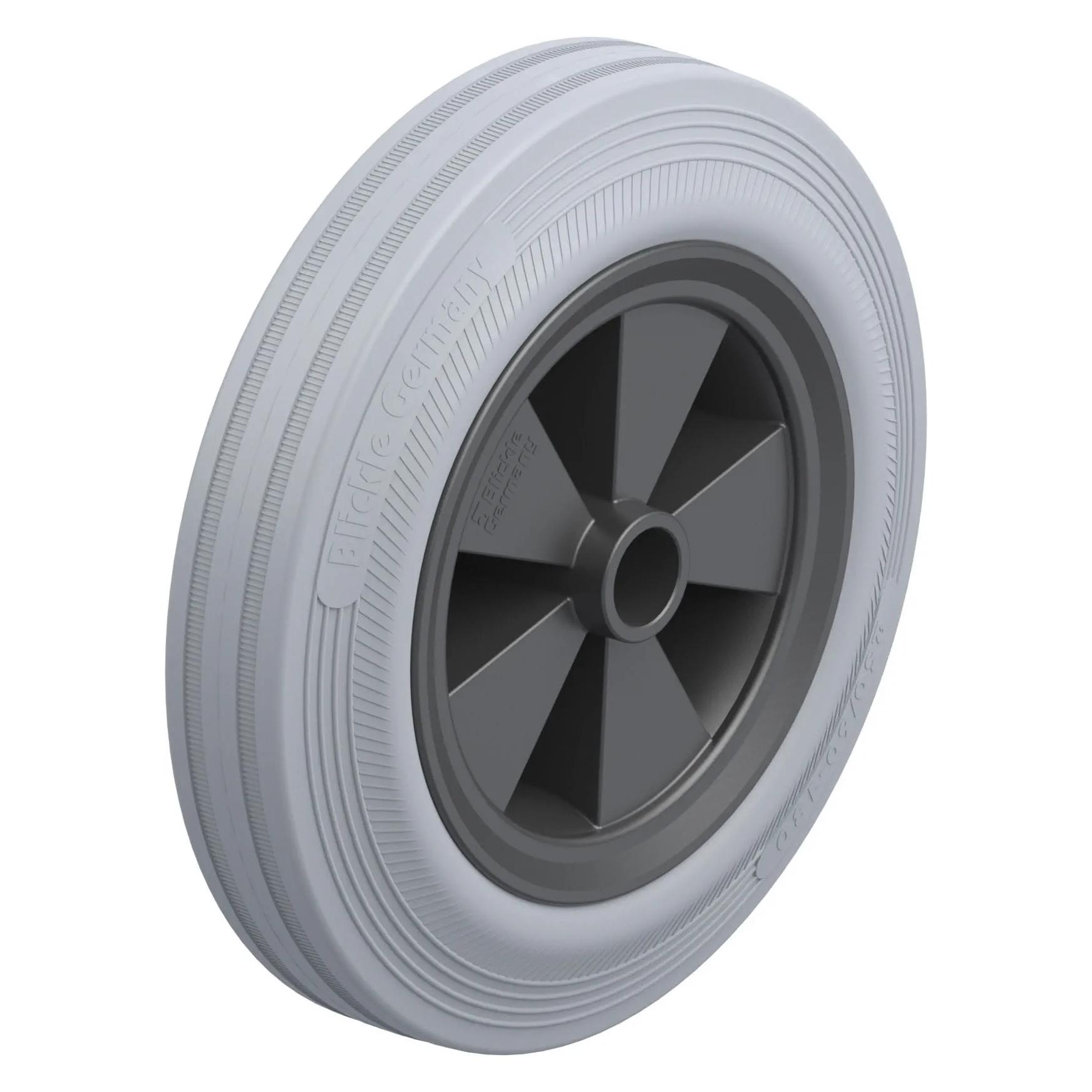 Blickle VPP 250/25G-SG (102772)