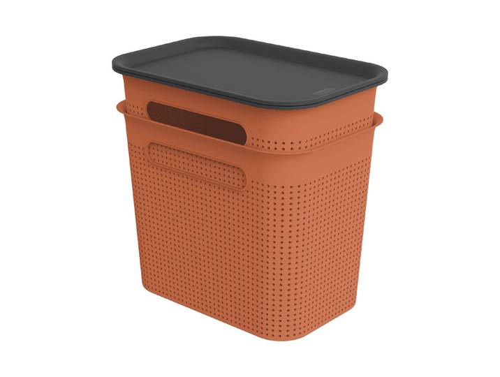 Rotho 2er-Set Box mit Deckel Brisen 7 l