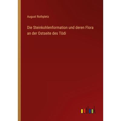 Die Steinkohlenformation und deren Flora an der Ostseite des Tödi, Taschenbuch von August Rothpletz, Outlook, 978-3-368-22874-3